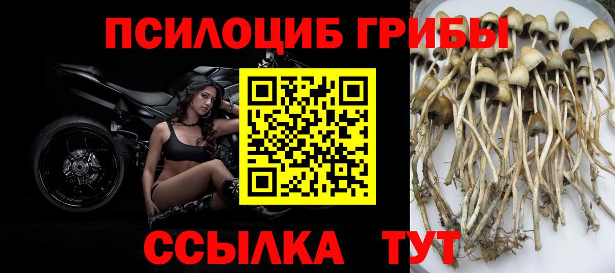 Галлюциногенные грибы прущие грибы  Вход с VPN  купить наркотик  Клинцы 