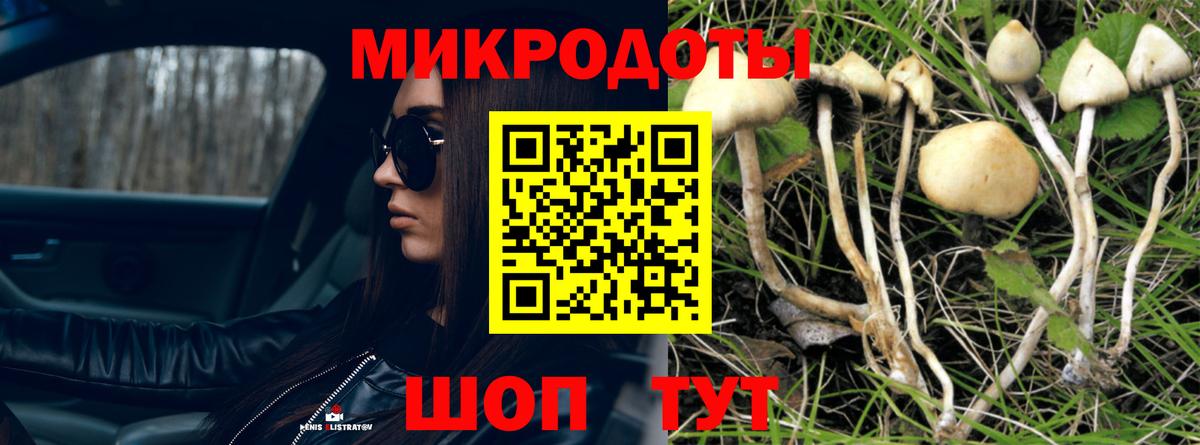 Галлюциногенные грибы мицелий Клинцы